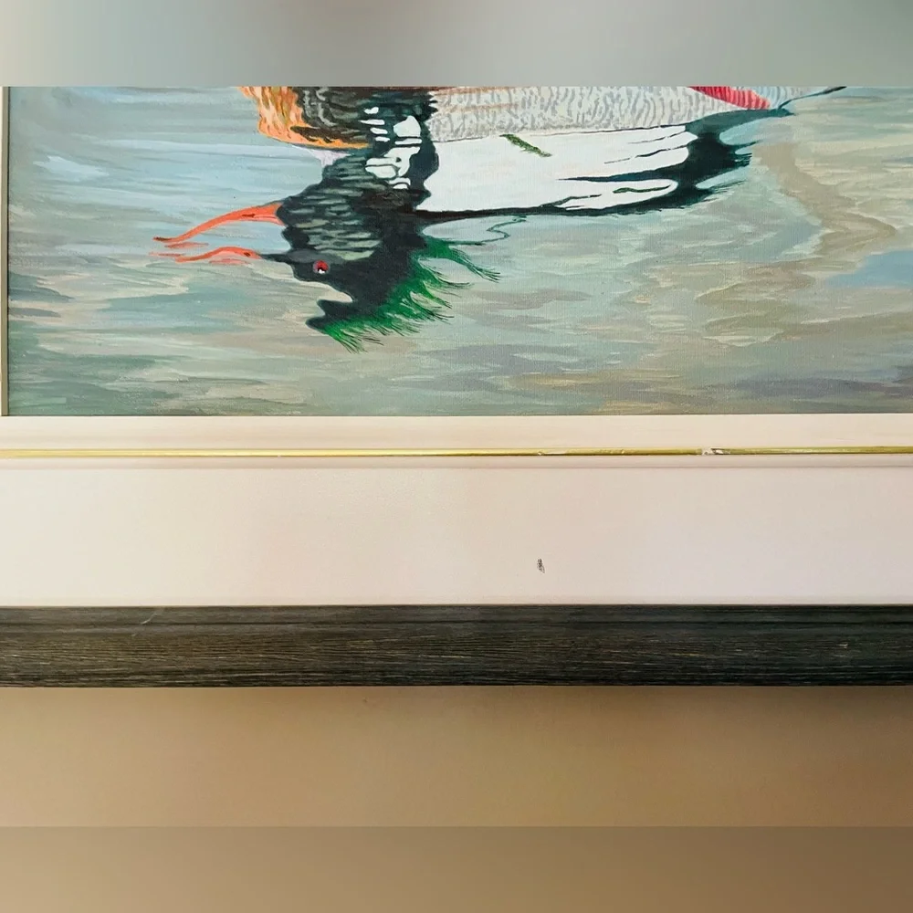 Framed Waterfowl Print - Colorful Duck Illustration - Picture 3 of 5